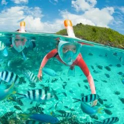 Subea Snorkeling & Scubadiving Easybreath Surface Full Face Snorkeling Mask Kids'